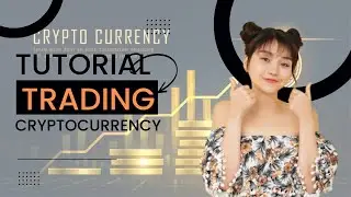 TRADING TIPS BEST TRADING INSURANCE FROM THE MARKET BEST TRADING INSURANCE WIZARDS BEST TRADING INSU