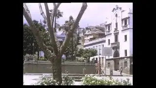 Isla de La Palma  año 1954.