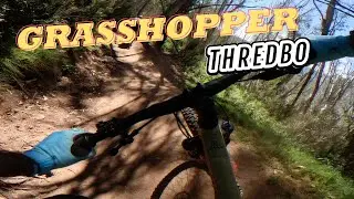 Thredbo | Grasshopper