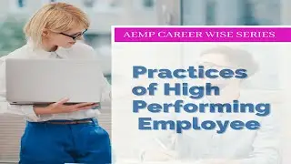 Practices of High Performing Employee ( AEMP Careerwise Series) by LBO