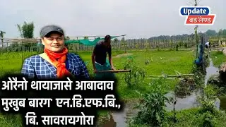 आबाद फोथाराव मुखुब बारग' एन.डि.एफ.बि., बि. सावरायगोरा | B. Saoraigwra in his cultivations