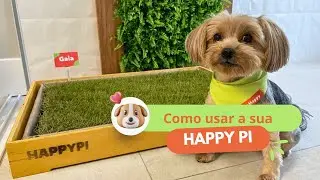 Como usar a sua Happy Pi