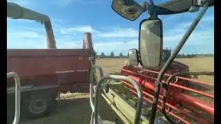 Ernte 2024 - Weizen | Claas Lexion & Case Quadtrac - Part 4 | Uncut, Raw Sound, Cab View