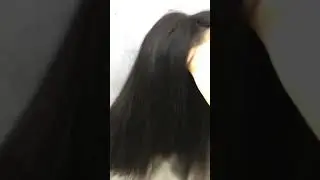 Full density closure unit bob wig made with 2 bundles 10inch