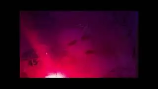 Soft Cell - Torch (Oren Amram's Chilled Torch)
