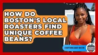 How Do Boston's Local Roasters Find Unique Coffee Beans? - Everything About Boston
