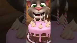 tom cake #tomtaking #talkingtom #funny  #talkingtomfunny #tomtalkingtom #cat #talkingtomvideos