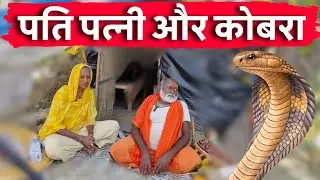 एक 7 फुट लंबा कोबरा रोज आता है हमारे पास ,, @brajmeseva@Brajeshkumargaur #brajkesant#santvani ..