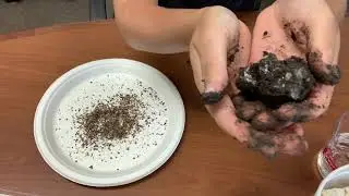 How to Make a Wildflower Seed Pod with Green City Growers