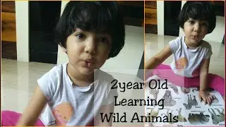 2 year old baby learning video | wild animals for kids to learn | wild animals for kids #shorts