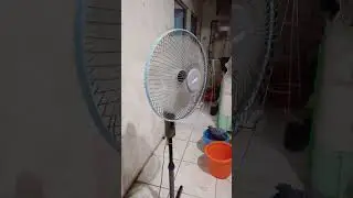 update VICTORY DELUXE FAN (super rare)