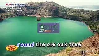 tie a yellow ribbon - tony orlando and dawn (karaoke/lyrics/instrumental)
