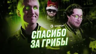 ГАМБИТ, NAVI, ГРИБЫ: КАРЬЕРА ЗЕВСА БЕЗ ЦЕНЗУРЫ!