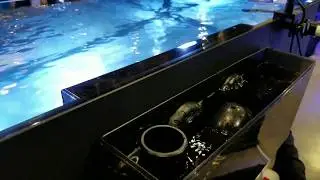 Shadow Overflow Demo