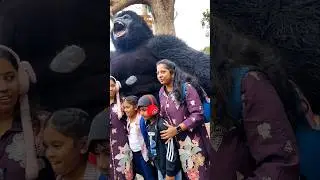 Yercaud Day -2 | Peeku park #shorts #anicooking #tamil #yercaudtrip