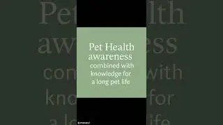 Holistic Pet Health Guide  