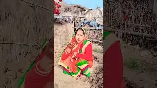 #jalebi lal #comedy #funny #video 🤣🥲🤣🥲🤣🥲🤣🥲