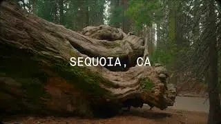 Welcome to AutoCamp Sequoia