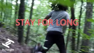 WheelUP - Stay For Long feat. Brint Story