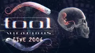 TOOL VICARIOUS Live 2006. 10.000 Days Performance. REMASTERED.