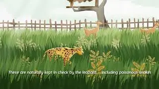 Sri Lanka&rsquo;s first-ever Livestock Insurance Scheme