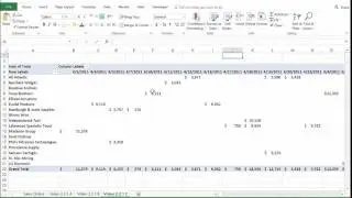 Video 2.2.2 C - Pivot Tables - Grouping
