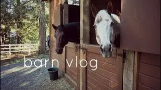 BARN VLOG | OUR LIFE IS FEEDING PONIES & SHOPPING