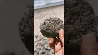 SANDSTONE | SEDIMENTARY STONE #shortvideo #rocks #stone