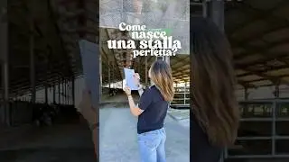 Come nasce una stalla perfetta?! #benessereanimale