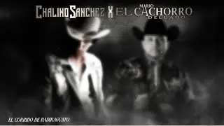 El Corrido De Badiraguato (Lyric Video Oficial) Chalino Sánchez y Mario “El Cachorro” Delgado