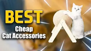🤩 Top 5  Best Cheap Cat Accessories On Aliexpress | Best Cheap Cat Accessories In 2023 🔥
