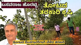 FARM TOUR-ಶಾಸಕ ಬಸವರಾಜ ಹೊರಟ್ಟಿ ತೋಟದ ತರಕಾರಿ ಕೃಷಿ ನೋಡಿ ಹೇಗಿದೆ!-E04-Basavaraja Horatti Farm-Kalamadhyama