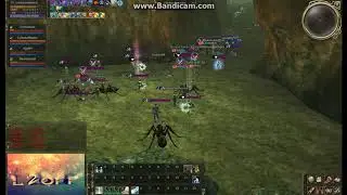L2OFF.GE &ndash; Lineage 2 Alone Quuen Ant Zames