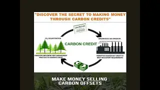 Discover the Secret to Making Money through Carbon Credits