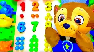 Best Colors Numbers Counting Toy Learning Video for Toddlers Peppa Pig Paw Patrol Puzzle Educational