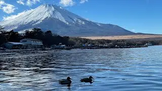 伊豆・熱海・箱根 新年旅行 『前編』