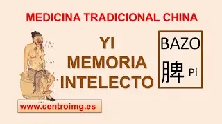 The intellect or YI in Chinese Medicine #chinesemedicine #intellect #spleen