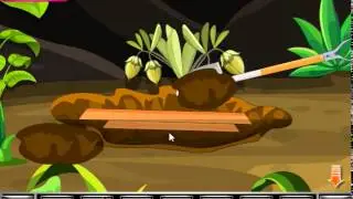 Tijuca Forest Escape Walkthrough 143kidsgames.com