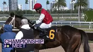 Gulfstream Park Replay Show | February 1, 2026