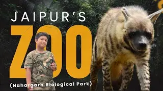 JAIPUR'S Nahargarh Biological Park