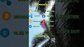 Next Bull Run: Which Coins Will Skyrocket? 🚀