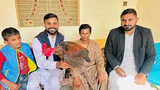 Allah Ne Dubara Zindagi Di Ghar Wapsi Special Desi MURGA🐓