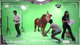 Virtual Cow