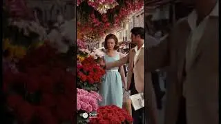 Rose e Profumo (Roses and Fragrance) #italy #romantic #shorts #love #movie
