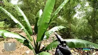Crysis Insane Photorealistic Graphics in 2025 - BlackFire's Mod