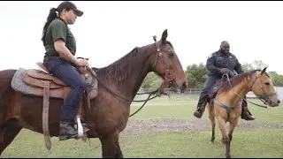 HCSO Mounted Patrol Unit Training