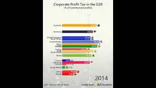 Which G20 country has the highest profit tax?