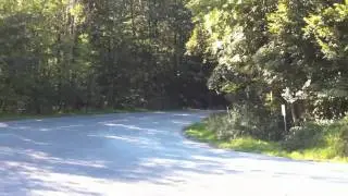 ///M3 E46 BMW Eisenmann