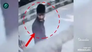 Delhi Red Fort Blast LATEST: From Kashmir to Kanpur - Inside the Network Behind Delhi Terror Attack