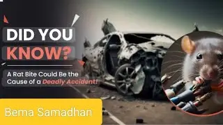 Rat bite insurance claim.    Can we claim car insurance for a rat bite? #Bema Samadhan 